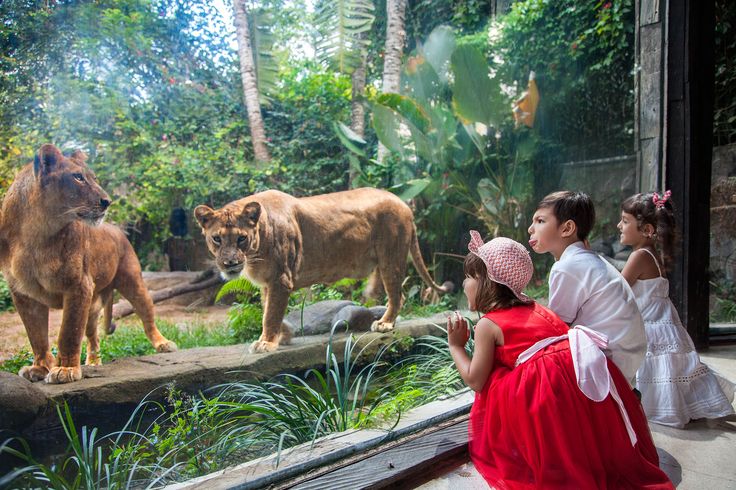 4 Wisata Kebun Binatang Di Malang Seru, Yang Sering Di Kunjungi Wisatawan !