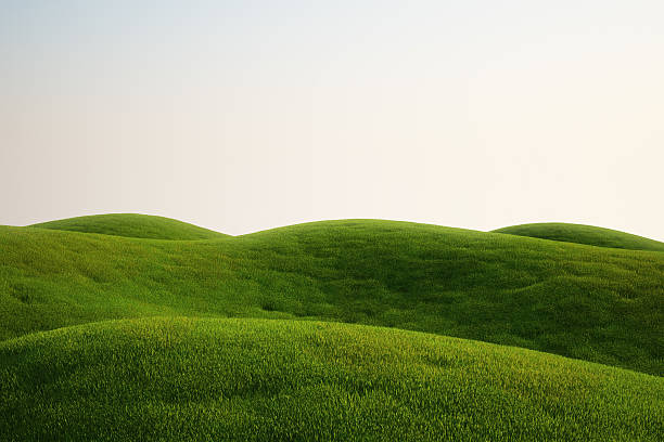 4 Rekomendasi Wisata Bukit di Malang, Cocok untuk Healing dan Hunting Foto !