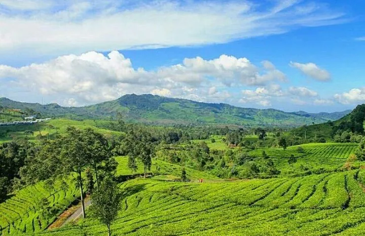 4 Rekomendasi Tempat Sejuk dan Syahdu di Malang!