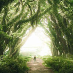 4 Rekomendasi Tempat Explore Malang cocok untuk Hunting Foto !