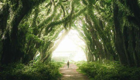 4 Rekomendasi Tempat Explore Malang cocok untuk Hunting Foto !